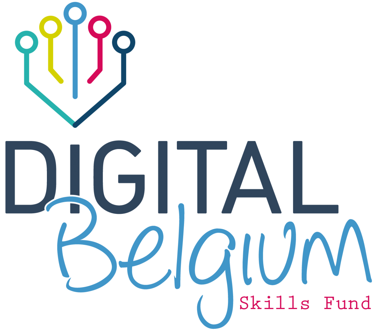 Digital Skills Belgium Fund